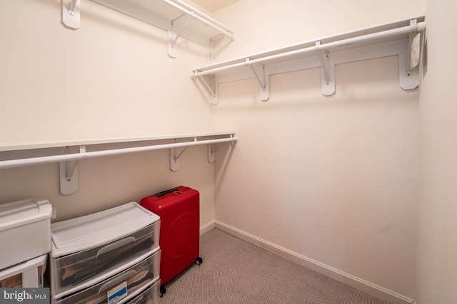 walk in closet featuring light colored carpet