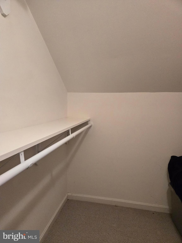 walk in closet featuring vaulted ceiling and carpet floors