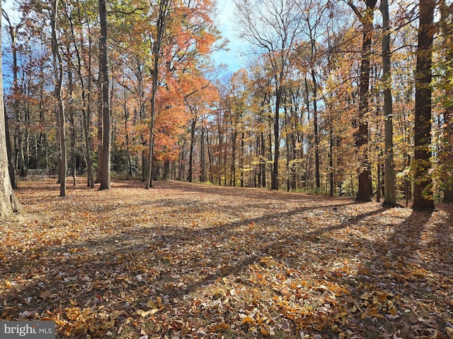 view of nature