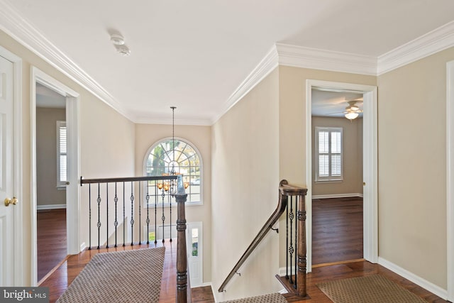 corridor featuring dark wood-type flooring, an inviting chandelier, and crown molding