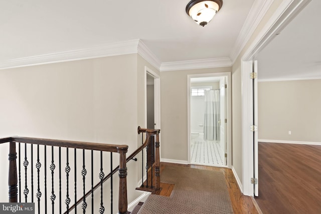 hall with dark wood-type flooring and crown molding