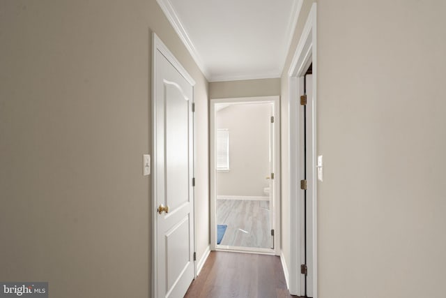 hallway with wood-type flooring and ornamental molding