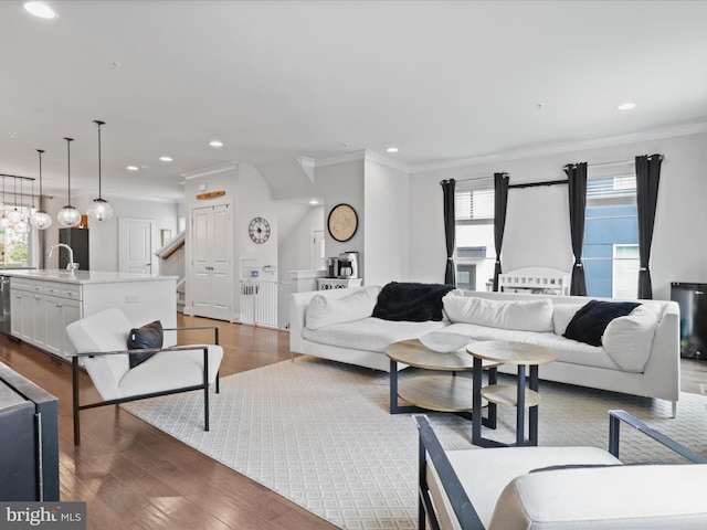 living room featuring crown molding, sink, and dark hardwood / wood-style flooring