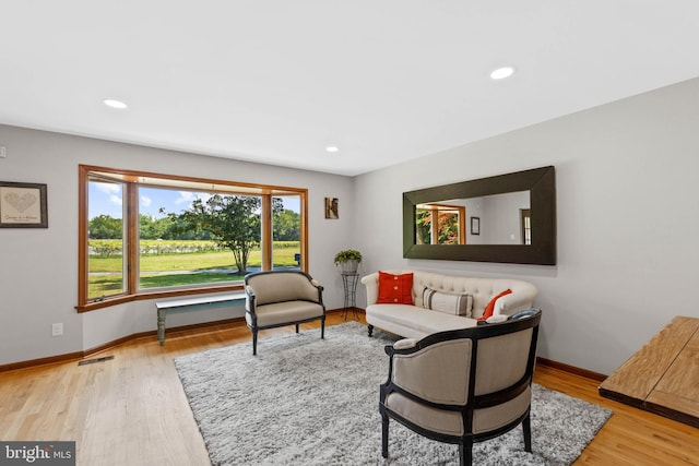 living room featuring hardwood / wood-style floors