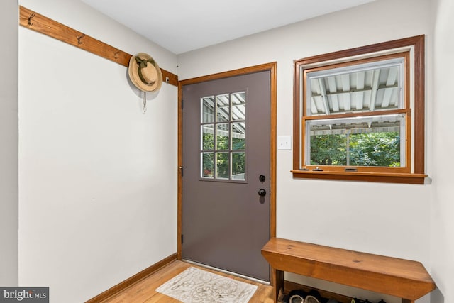 doorway with a healthy amount of sunlight and light wood-type flooring