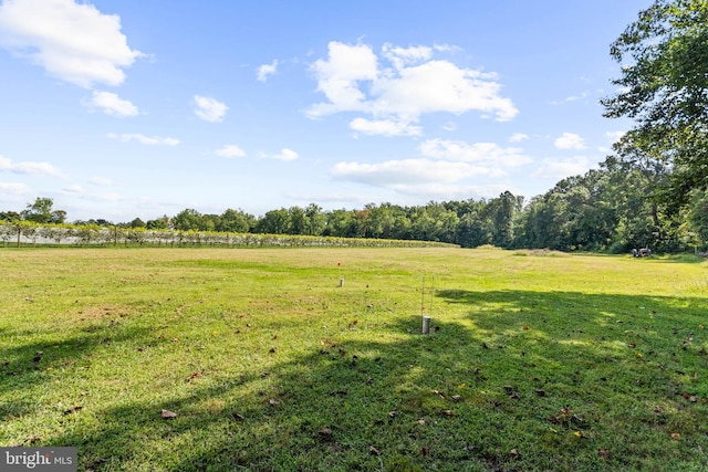 view of yard featuring a rural view