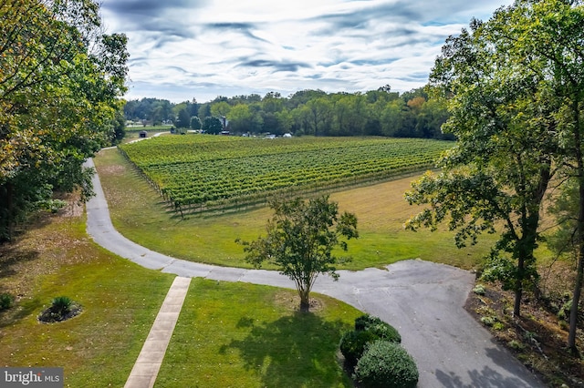 view of home's community with a lawn and a rural view