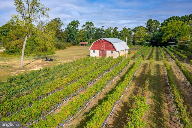 view of yard featuring a rural view and an outdoor structure