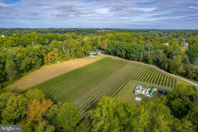 birds eye view of property with a rural view