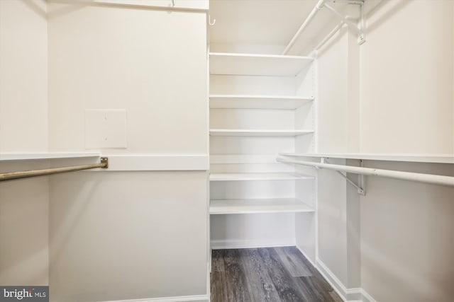 spacious closet featuring dark hardwood / wood-style floors