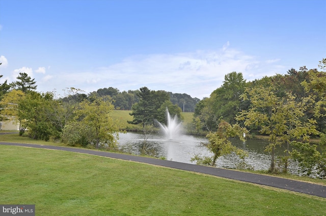 view of water feature