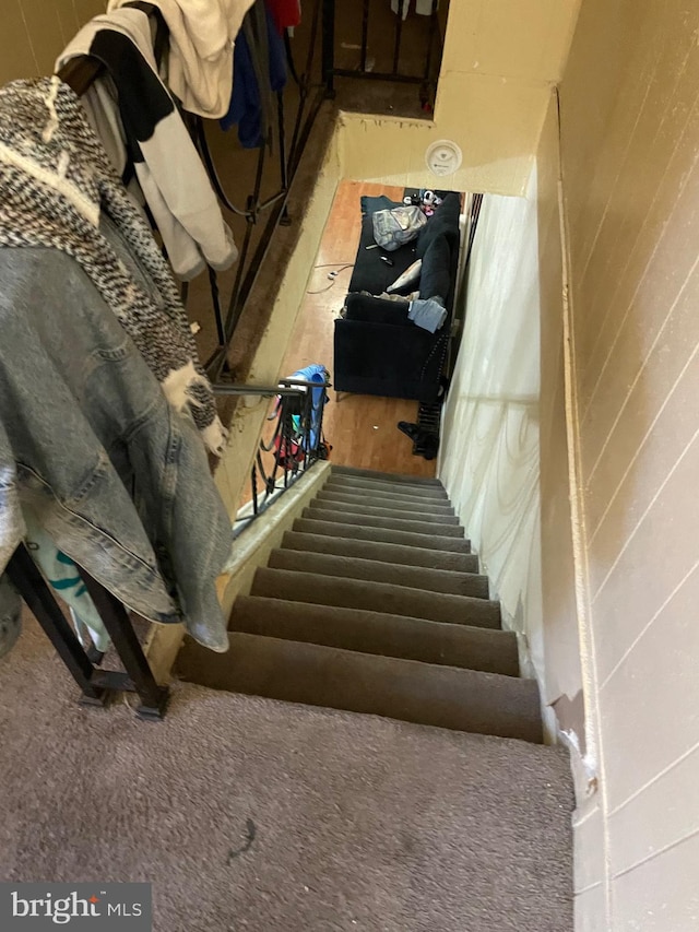 stairway featuring carpet flooring