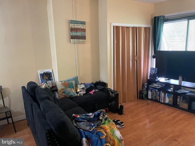 living room featuring wood-type flooring