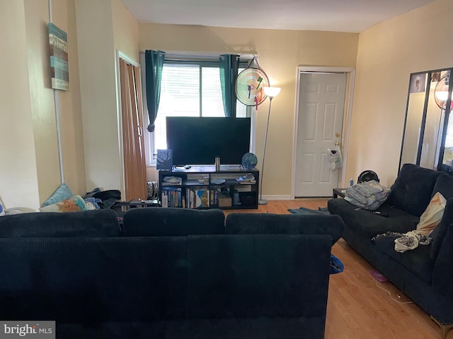 living room with light wood-type flooring