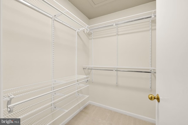 spacious closet with carpet