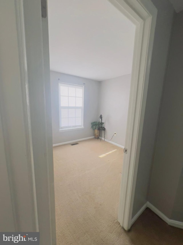 hallway with carpet floors