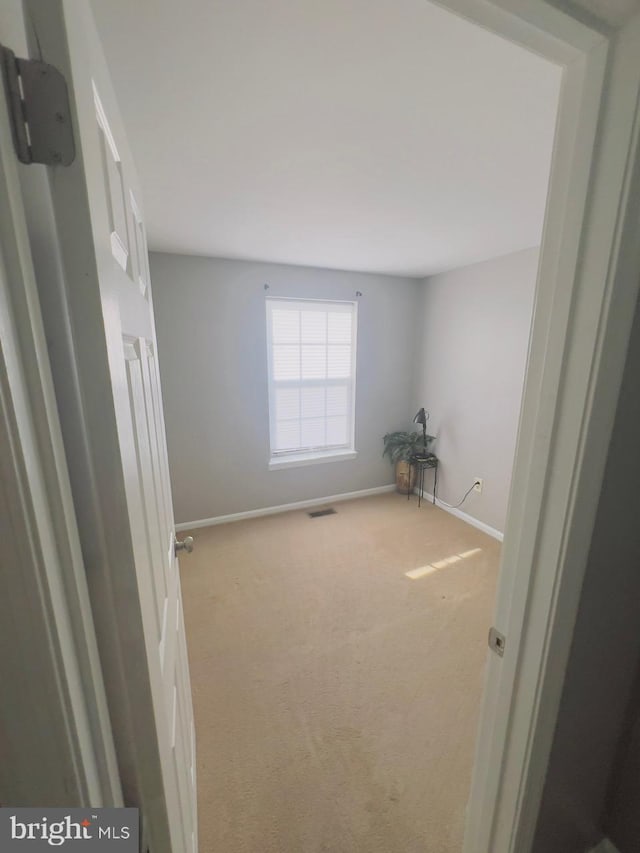 unfurnished room with carpet flooring