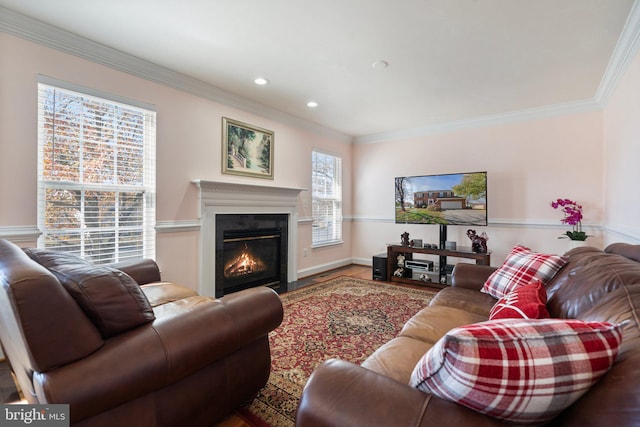 living room with hardwood / wood-style floors and ornamental molding