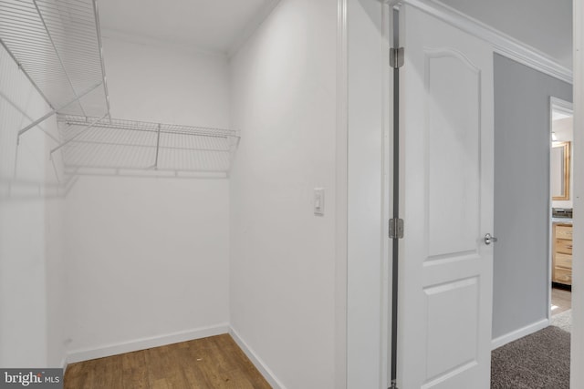 walk in closet featuring hardwood / wood-style floors