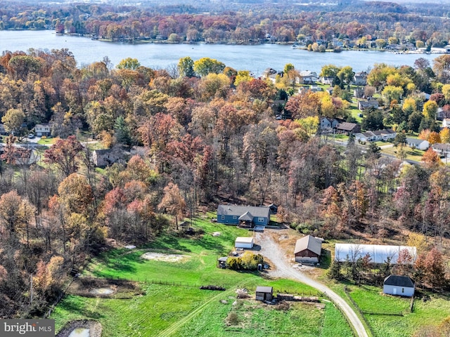 bird's eye view featuring a forest view and a water view