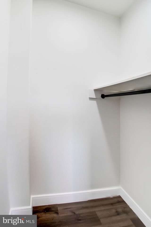 spacious closet featuring dark wood-type flooring