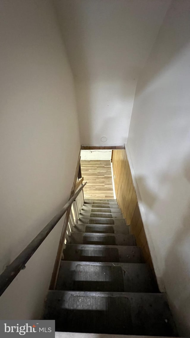 staircase with hardwood / wood-style flooring