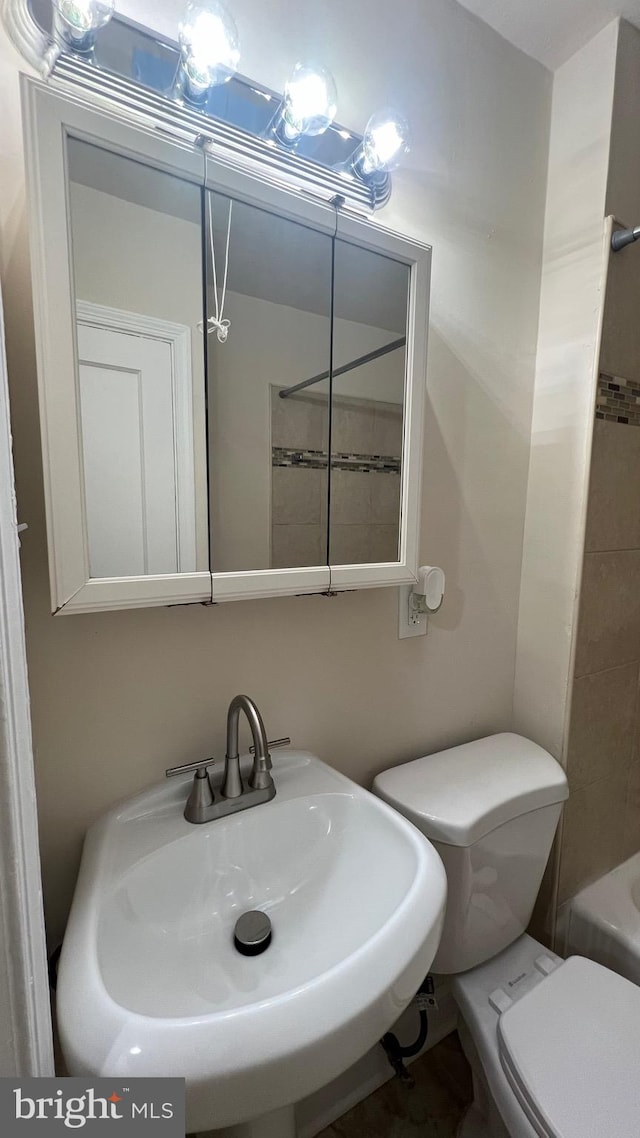 bathroom with toilet and sink