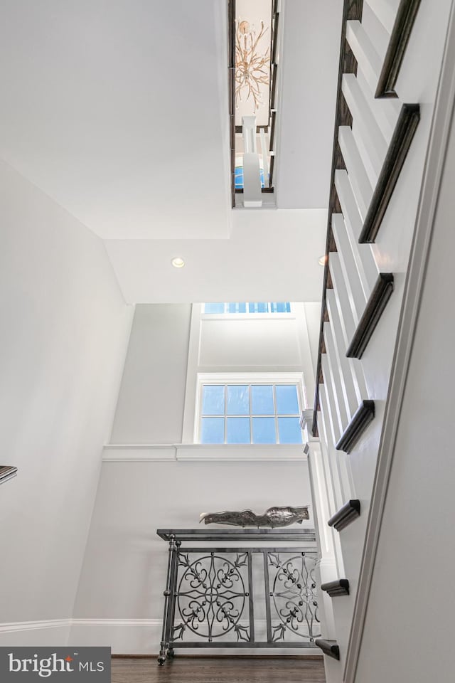 stairs with wood-type flooring