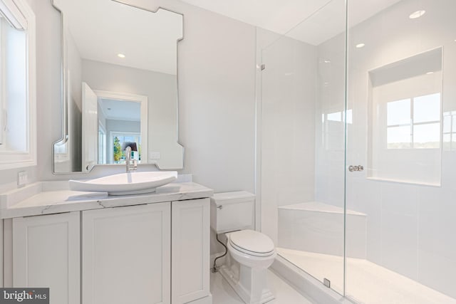 bathroom with vanity, toilet, and walk in shower