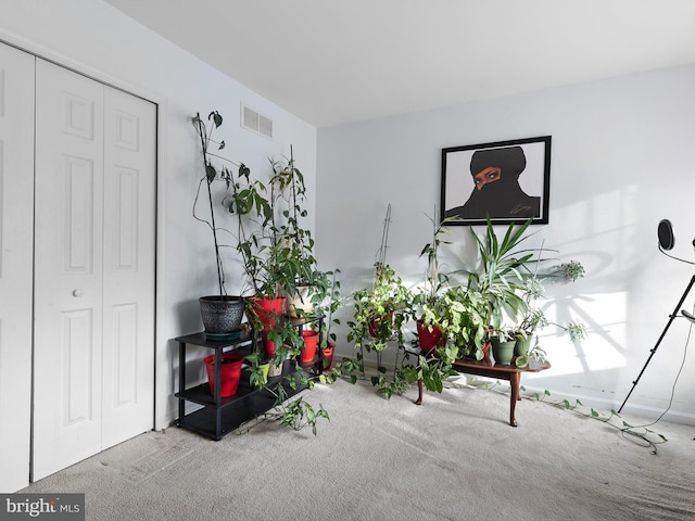 miscellaneous room with carpet floors