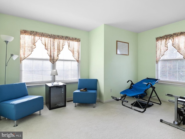 living area featuring plenty of natural light and light colored carpet