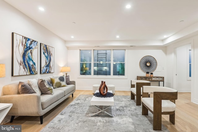 living room featuring wood-type flooring