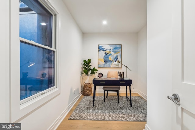 office featuring wood-type flooring