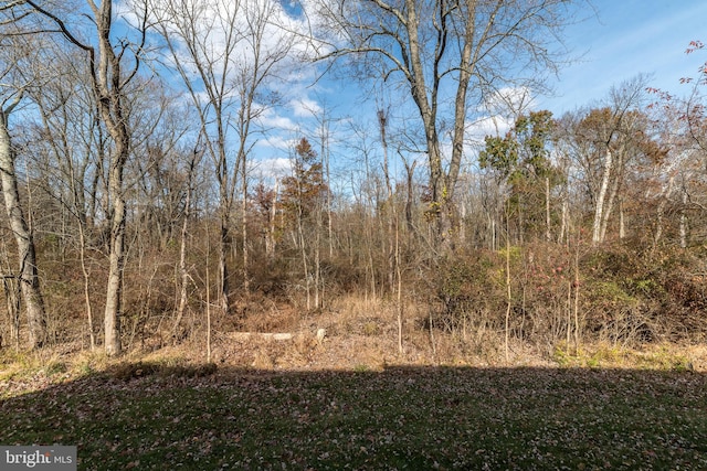 view of local wilderness