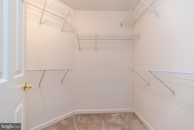 walk in closet with carpet