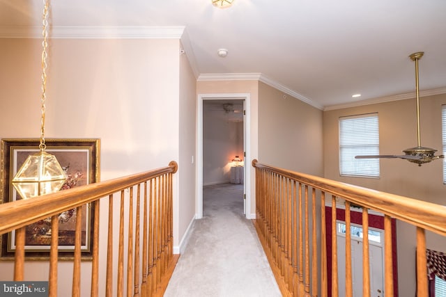 hall featuring carpet flooring and crown molding