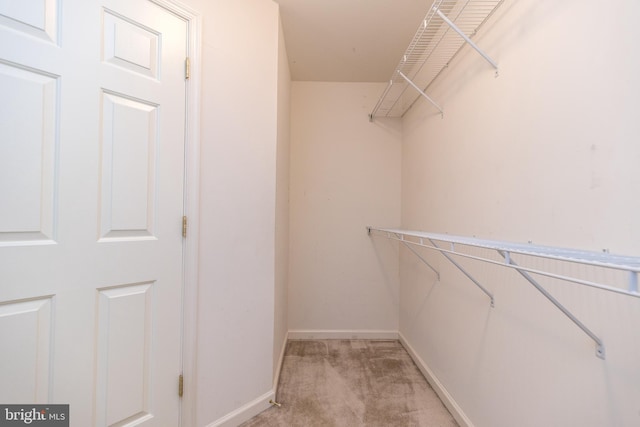 spacious closet with light colored carpet