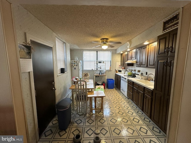 kitchen with dark brown cabinetry, a textured ceiling, sink, ceiling fan, and white appliances