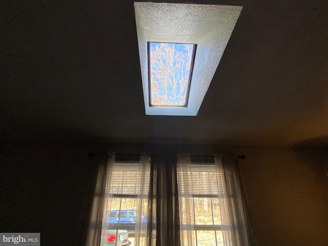 room details with a skylight and a textured ceiling