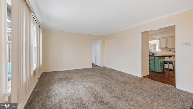 spare room featuring dark colored carpet and crown molding