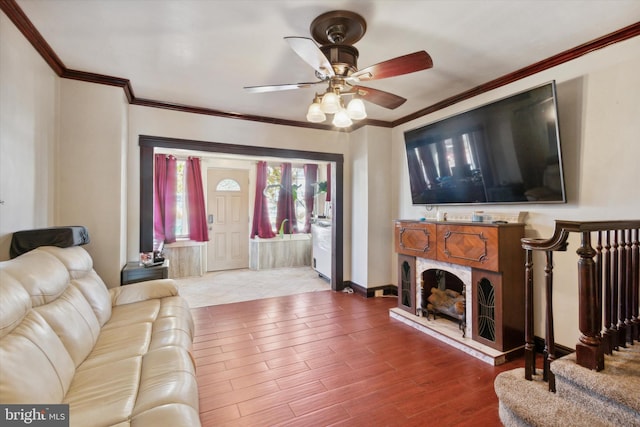 living room with crown molding, ceiling fan, and wood-type flooring