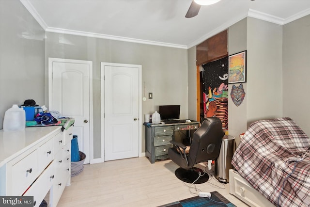 office featuring ceiling fan, light wood-type flooring, and ornamental molding