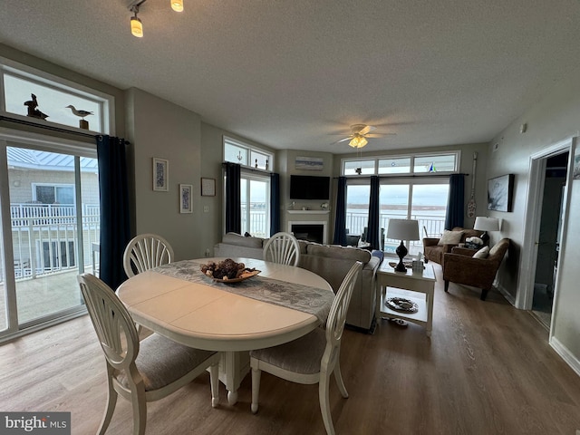 dining space with hardwood / wood-style floors, ceiling fan, and a textured ceiling