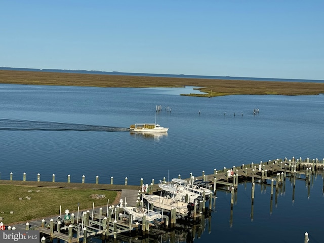 water view featuring a boat dock