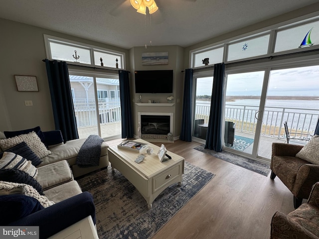 living room featuring hardwood / wood-style floors, a textured ceiling, and ceiling fan