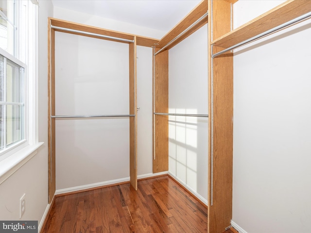 walk in closet with hardwood / wood-style flooring