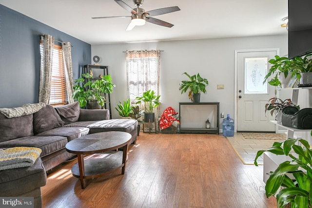 living room with ceiling fan, hardwood / wood-style flooring, and a healthy amount of sunlight