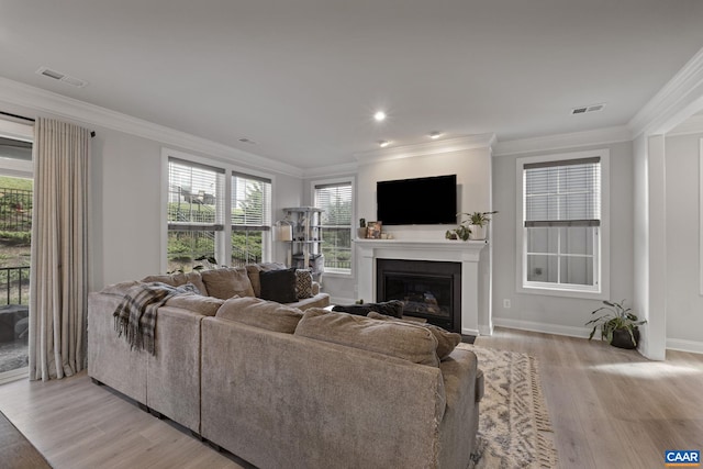 living room with light hardwood / wood-style flooring and crown molding