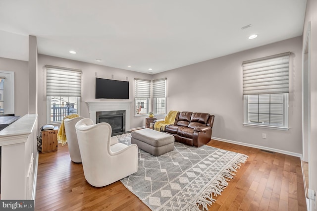 living room with hardwood / wood-style floors and a wealth of natural light