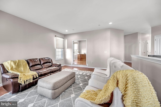 living room with wood-type flooring